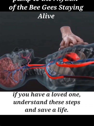 learn these steps and save a life. 1.) Rate: 100–120 compressions per minute. 2.) Method: Push hard 2 inches for adults and fast, allowing full chest recoil. 3.)Timing: Roughly 2 compressions every second. 4.)Cycle: If trained, use a cycle of 30 compressions followed by 2 breaths. #CPR ❤️‍🩹 #beegees #stayingalive