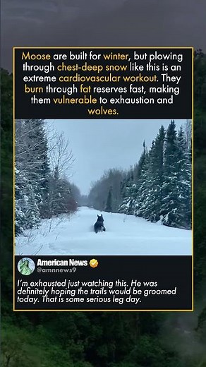 LEG DAY IN THE ALASKAN WILD