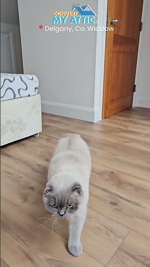 This Attic Became a Cozy Living Space