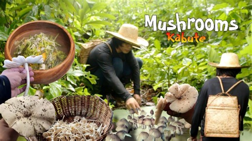 From wild mushrooms to warm soup