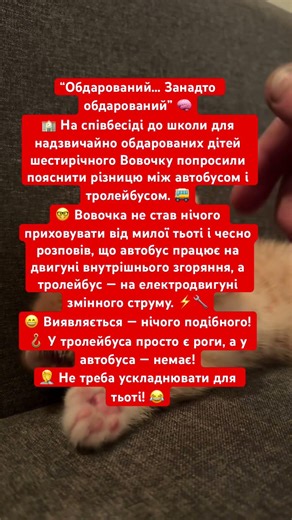 “Обдарований… Занадто обдарований” 🧠