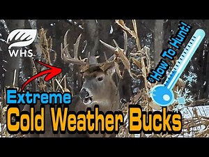 Extreme Cold Weather Deer Hunting Tips