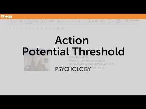 Action Potential Threshold | Psychology | Chegg Tutors