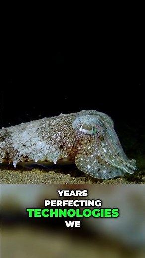 How Nature Will Inspire Future Technology