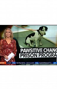 6.6K views · 212 reactions | The intensive rehabilitation program was...