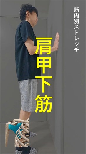 【肩】筋肉別ストレッチ！～肩甲下筋～