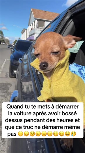 Vidéos de Splitz (@splitzzz__) avec Clocks - Coldplay