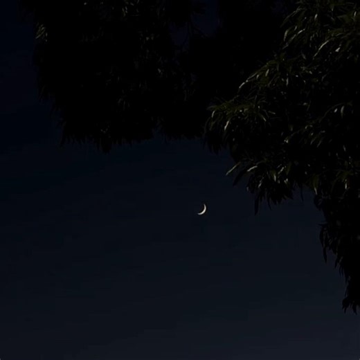 Correct Way to Follow Imam in Congregational Prayer