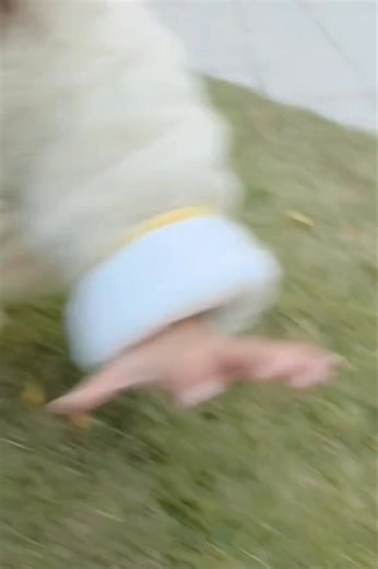 69K views · 7.7K reactions | 自己跌倒自己能站起来了，也不需要扶了 #解锁新技能 #学走路的宝宝 #人类幼崽到底多可爱 | Chika Molen | Facebook