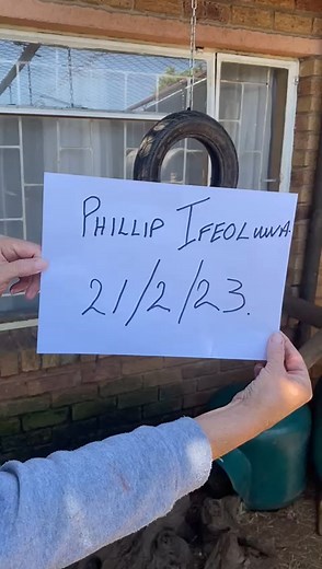 If u want to order lions with a legal document from south Africa 🇿🇦 am ur plug 08030648834 | K-F Agro Tech And Agro Service