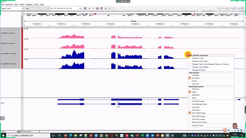 IGV可视化reads分布和表达峰图