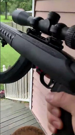 Franklin Armory binary trigger in a Ruger 10/22 charger .22