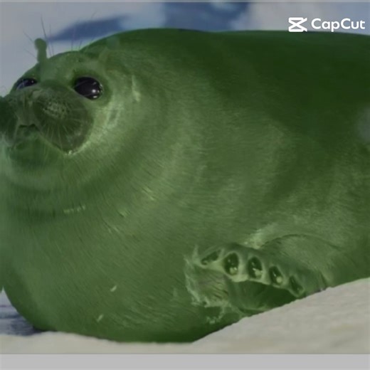 alien seals seals uhh 9 #seal