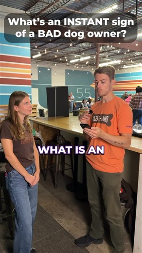 What’s an INSTANT sign of a BAD dog owner? #embracepetinsurance #dogowner | Embrace Pet Insurance