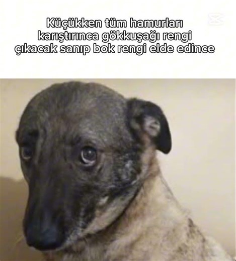 olmasına rağmen tekrar yapardım #enbüyükfener #marcomm