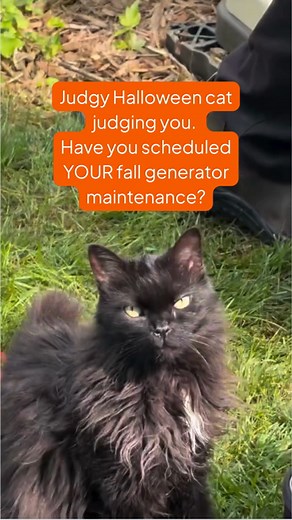 41K views · 165 reactions | Have you scheduled your fall maintenance appointment with your #Generac dealer? Judgy Cat is judging you (on National Cat Day, no less) if you haven't! ‍⬛ Generator maintenance isn’t just a checkbox, it’s your first line of defense against costly repairs and unexpected downtime. Scheduling your maintenance now means peace of mind later. ⚡️ | Generac | Facebook