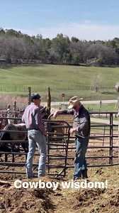 18K views · 860 reactions | Love learning from a wise, old cowboy! #reels #cowboy #martinsquarterhorses #farmlife #horses | The Farm on Route 66 | Facebook