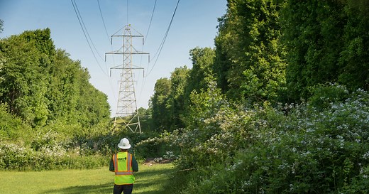 Vegetation Management Consulting | Utility Tree Services | Davey Tree