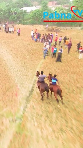 8.9K views · 69 reactions | horse racing,horse racing tips,horse,horses,racing,horse racing betting,horse racing highlights,horse racing live,horse racing fails,racing uk,rival stars horse racing,racing tv,horse race,race horses,live horse racing,irish horse racing,world horse racing,is horse racing bad,sky sports racing,indian horse racing,french horse racing,horse racing secrets,is horse racing cruel,horse racing (sport),horse racing strategy,horse racing gambling | Pabna TV | Facebook