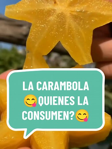 Popularidad y Beneficios de la Carambola