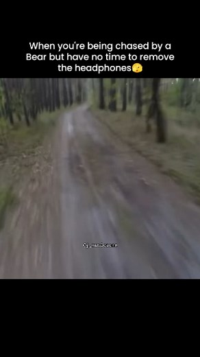 Japanese Music🎶 | Op: renai circulation From Bakemonogatari Artist: @hanazawa_kana.official . . #animeop #anime #songs #musiclover #japan #japanesemusic... | Instagram