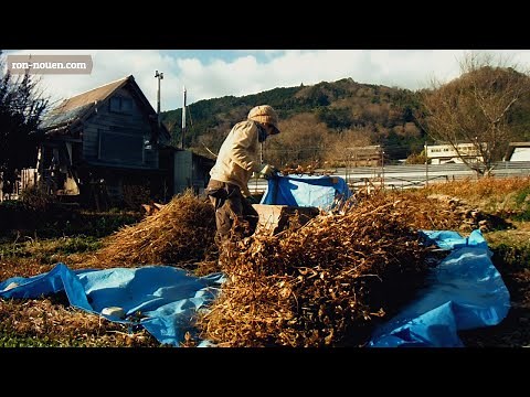 大豆の自給自足！！～栽培から、収穫、選別までの様子～