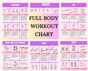 Gym Workout Chart: Illustrated Exercise Guide (digital Download, PDF Template A4 Size) - Etsy
