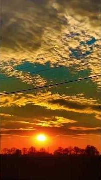 موزیک ویدیو Music Sting – Desert Rose #iran #عاشقانه