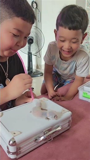 Fat-Tailed Gecko Skin Inflates like a Balloon While Kids Help It Molt