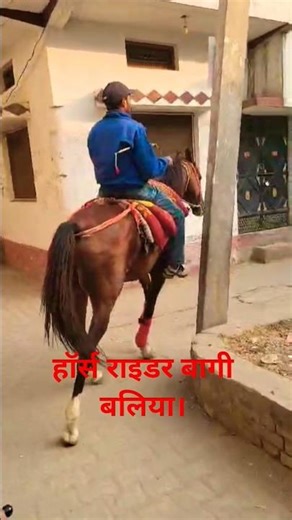 with 🐎#horse #horse lover #horse