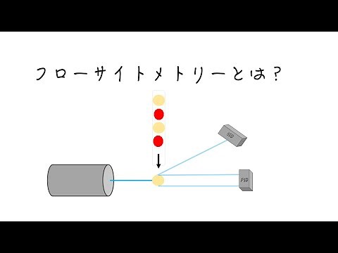 フローサイトメトリーとは？