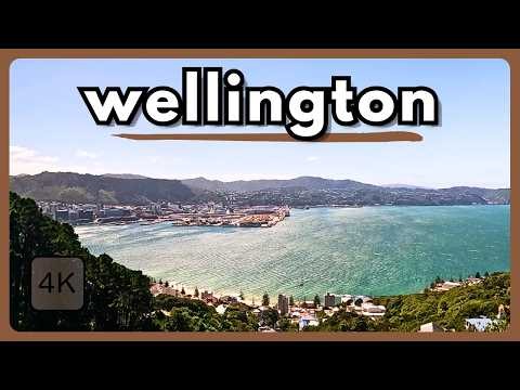 Welly On a Good Day | Mount Victoria Viewpoint - Wellington | NZ | 4K Cycle