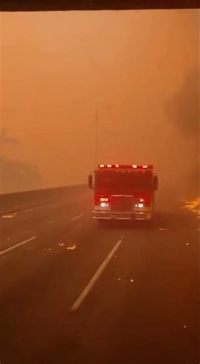 Wildfire Evac: Bus Driver on the Frontline