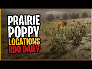 Prairie Poppy Locations | Red Dead Online