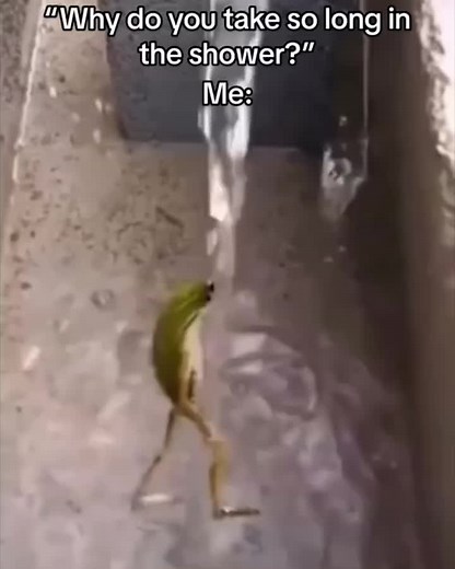 Dancing Frog Meme Compilation