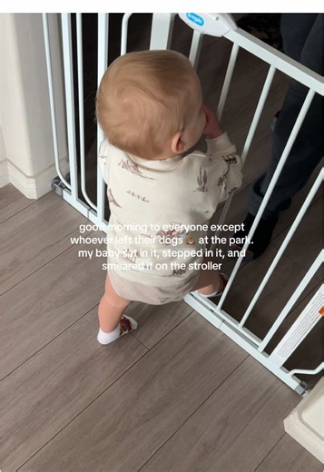 Cleaning Dog Poop: A Toddler's Mishap at the Park