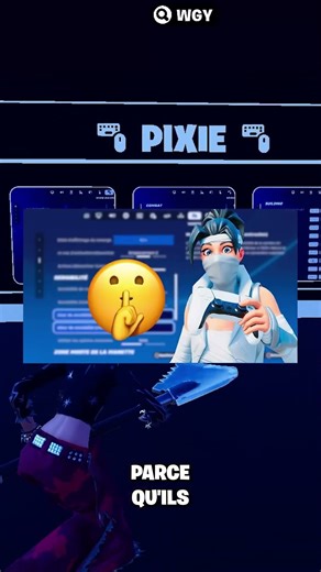 Les Paramètres Secrets de Havok Pixie ! #fortnite #wgy