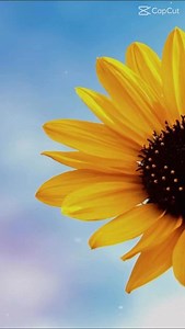 150K views · 2.6K reactions | Have a great weekend #weekendvibes #smile | Giggle Palooza | Facebook