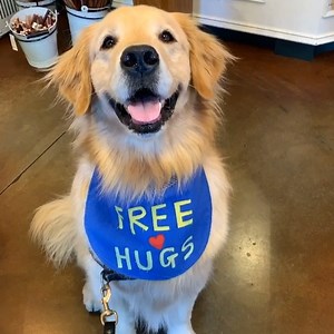 This dog can't wait to get back to giving hugs 🤗❤️🐶 | The Dodo