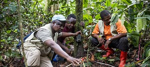 Capacity building | Sustainable Wildlife Management (SWM) | Food and Agriculture Organization of the United Nations