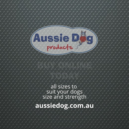 Is your furry friend feeling bored, anxious, or destructive when left...