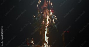 Roses Burning with books and a glass of wine on the table