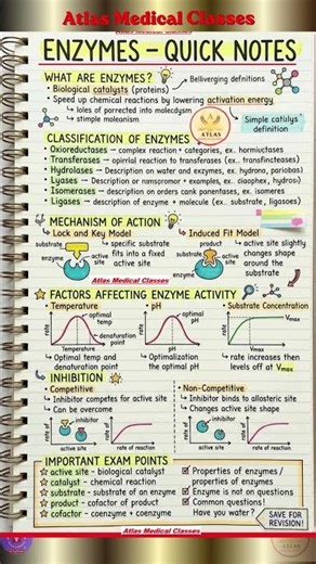 ENZYMES- QUICK SHORT NOTES | Enzyme- important questions | Enzymes Kya Hai | Enzyme Inhibition #mcqs