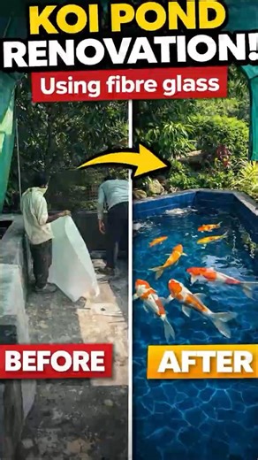 Renovating my Koi pond 🌿💧| Part 3