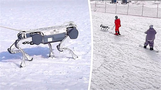 Robo-dogs take over ski slopes with futuristic rides in China