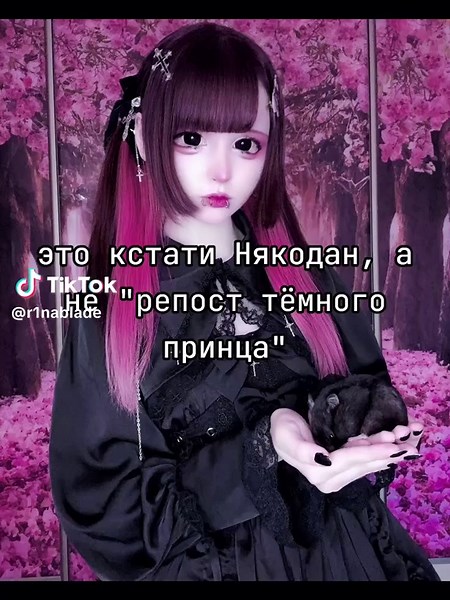 Някодан: Понимание и популярность среди молодежи