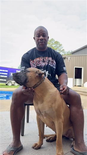 Richard DeBerry | How to properly fit a prong collar on your dog!! This can help you prevent an injury from not having it properly fitted. Comment below if... | Instagram