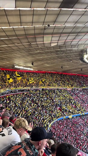 FC Bayern vs. BVB Match Highlights and Analysis