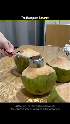 The Magic of Coconut – Nature’s Most Useful Fruit! #facts #shorts