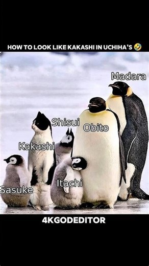 anyone notice Kakashi 😂🤦🏻🤭 #anime #shorts #amv #naruto #itachi #kakashi #madara #obito #sasuke #meme